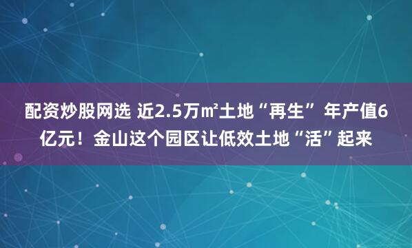 配资炒股网选 近2.5万㎡土地“再生” 年产值6亿元！金山这个园区让低效土地“活”起来